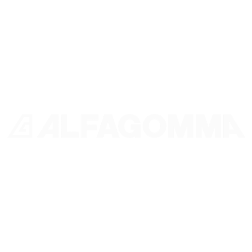 Company name