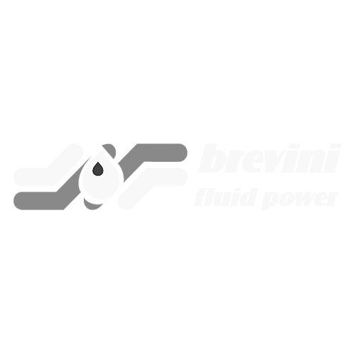 Company name