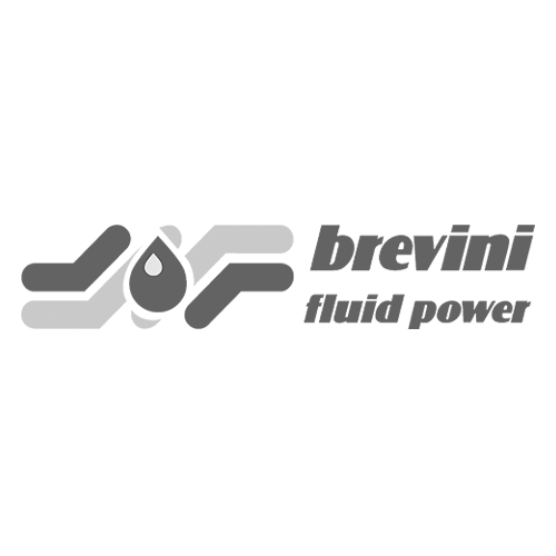 Company name