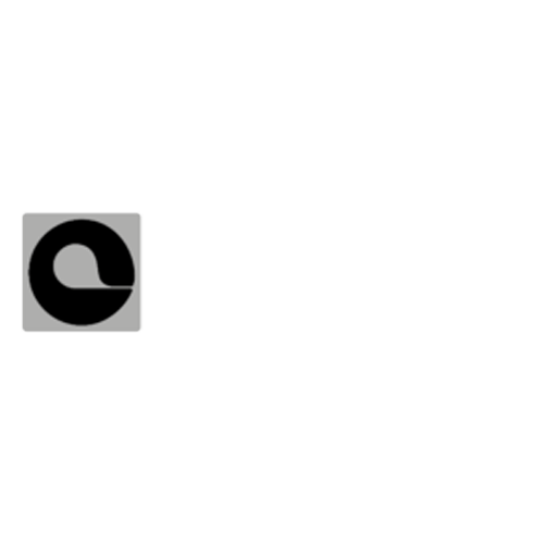 Company name