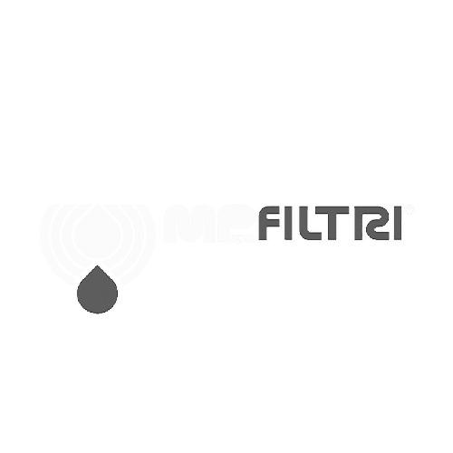Company name