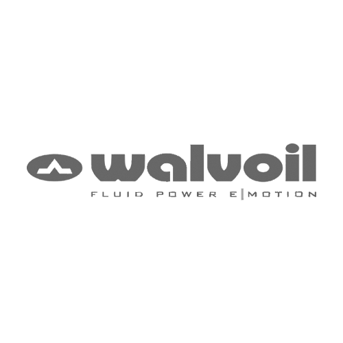 Company name
